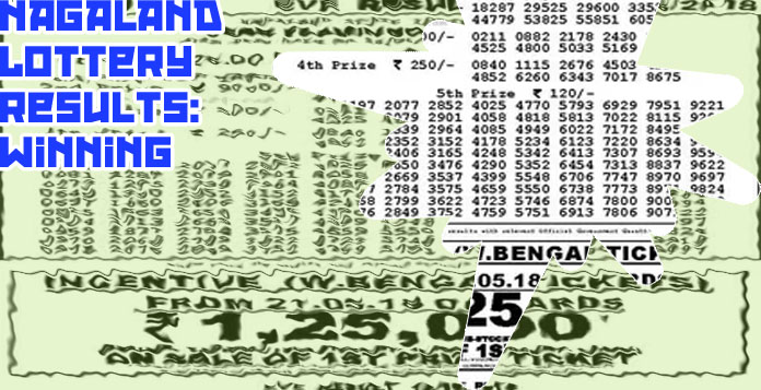 Dear lottery lottery result